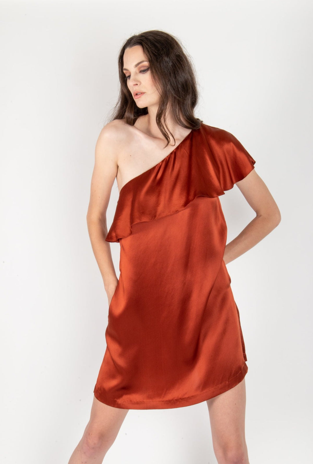 Penelope Dress - 100% Silk