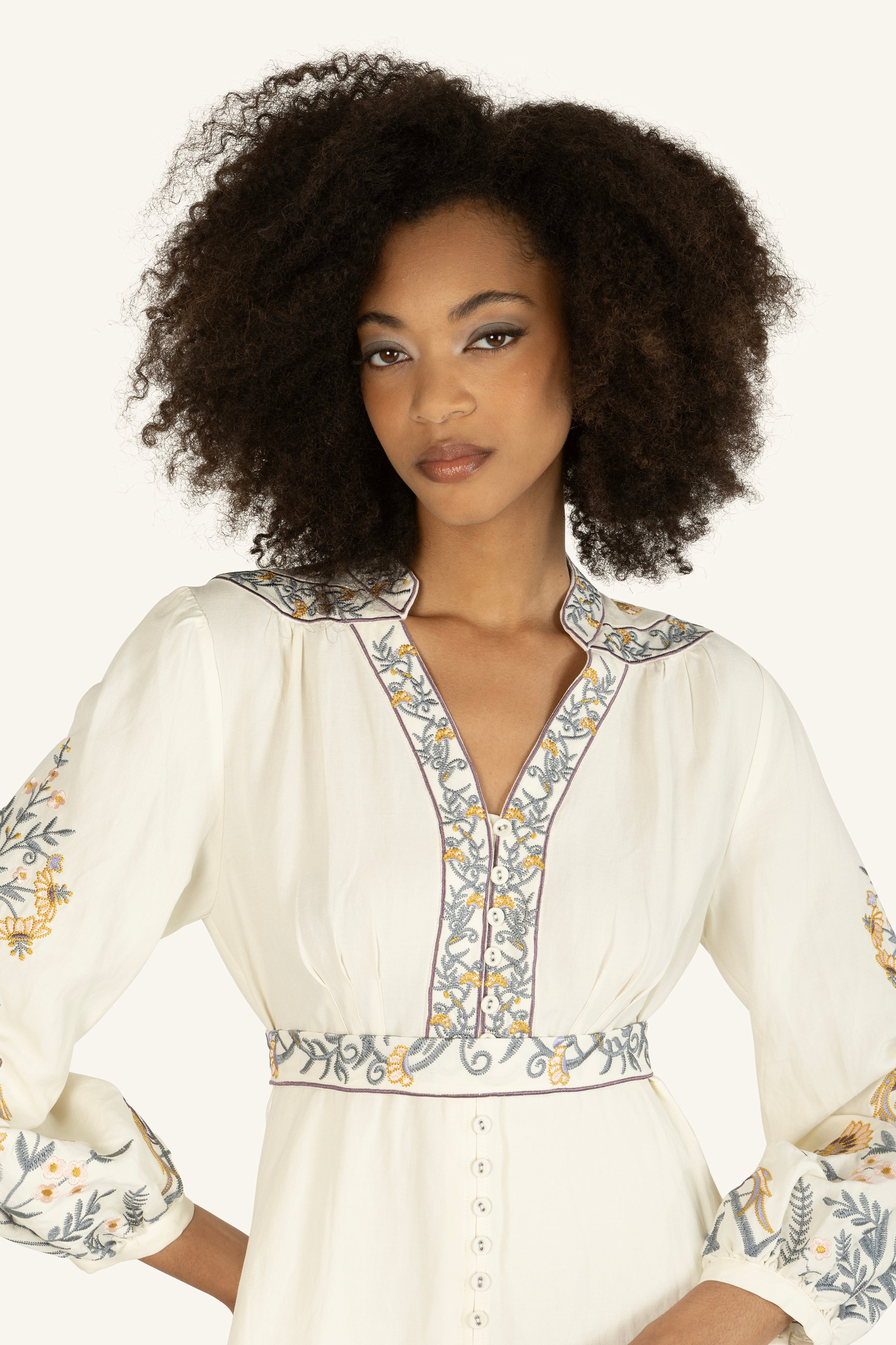 Della Dress - Silk Linen with Embroidery – SECRET MISSION BOUTIQUE